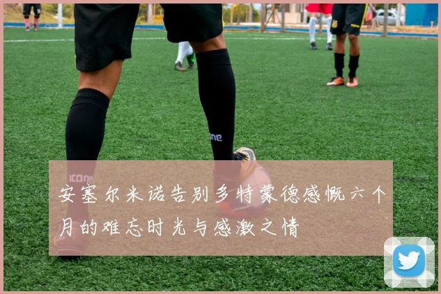 安塞尔米诺告别多特蒙德感慨六个月的难忘时光与感激之情