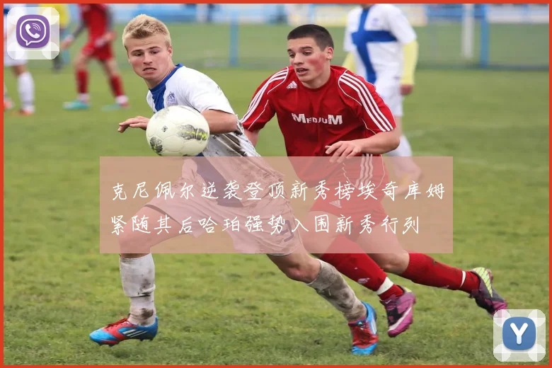 克尼佩尔逆袭登顶新秀榜埃奇库姆紧随其后哈珀强势入围新秀行列